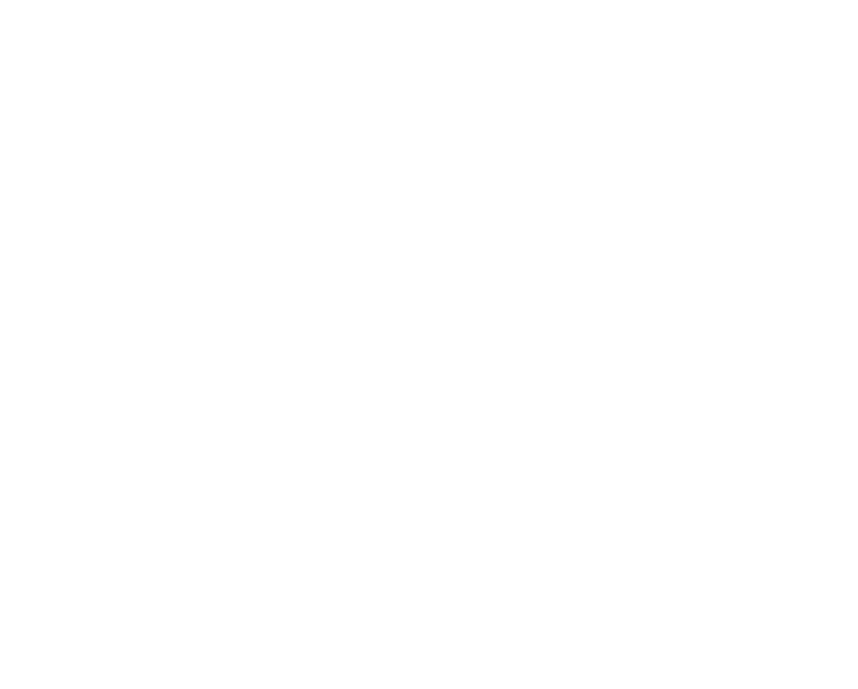 International Passenger Protection (IPP) - Part of DUAL